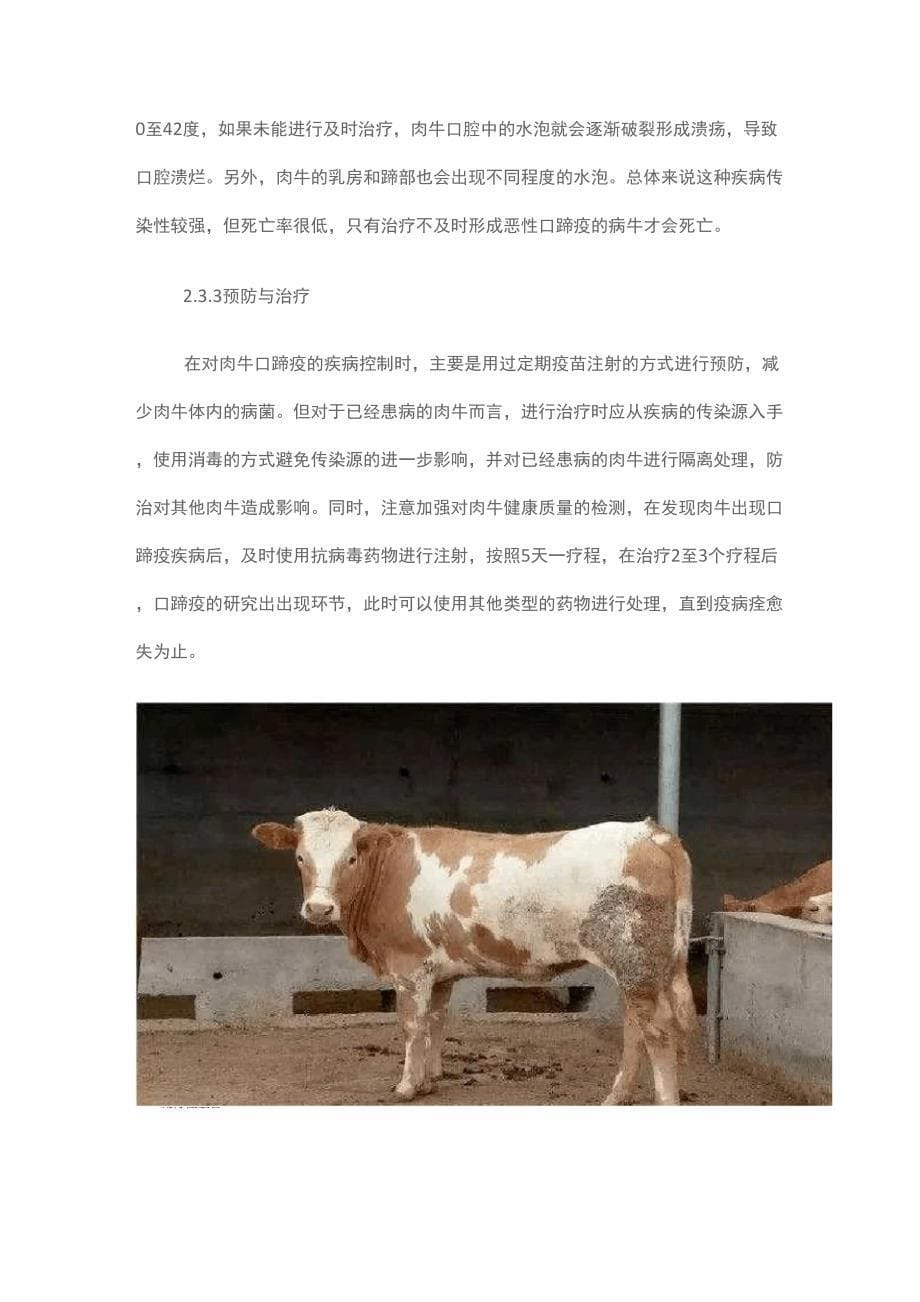 肉牛常见疾病的预防及其治疗措施_第5页