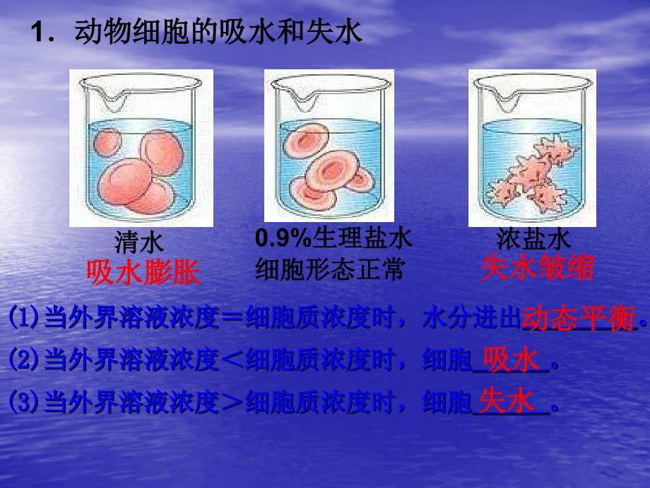 植物细胞质壁分离与复原_第4页