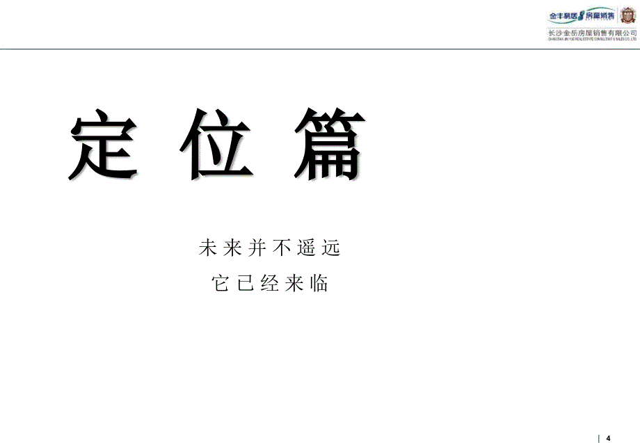 易居精品长沙丰都市绿洲项目策划报告_第4页