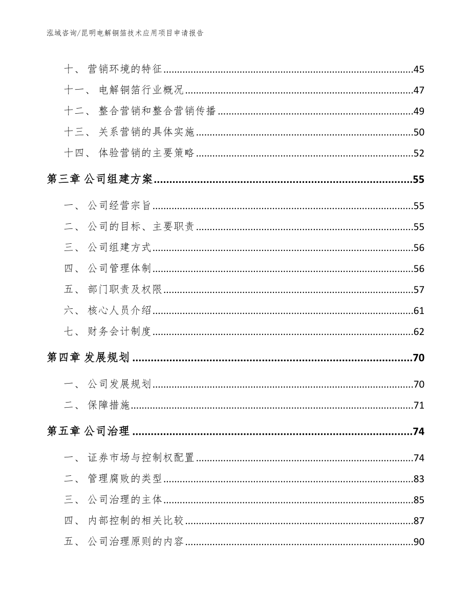 昆明电解铜箔技术应用项目申请报告_第3页