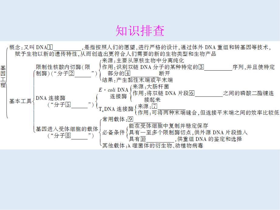 高三一轮复习生物新人教版选修3课件：：专题一基因工程_第3页