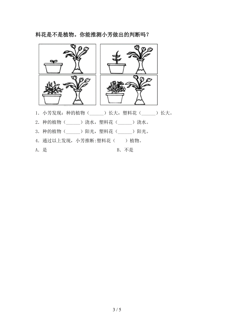 2023年教科版一年级科学下册期中试卷及答案【A4打印版】.doc_第3页