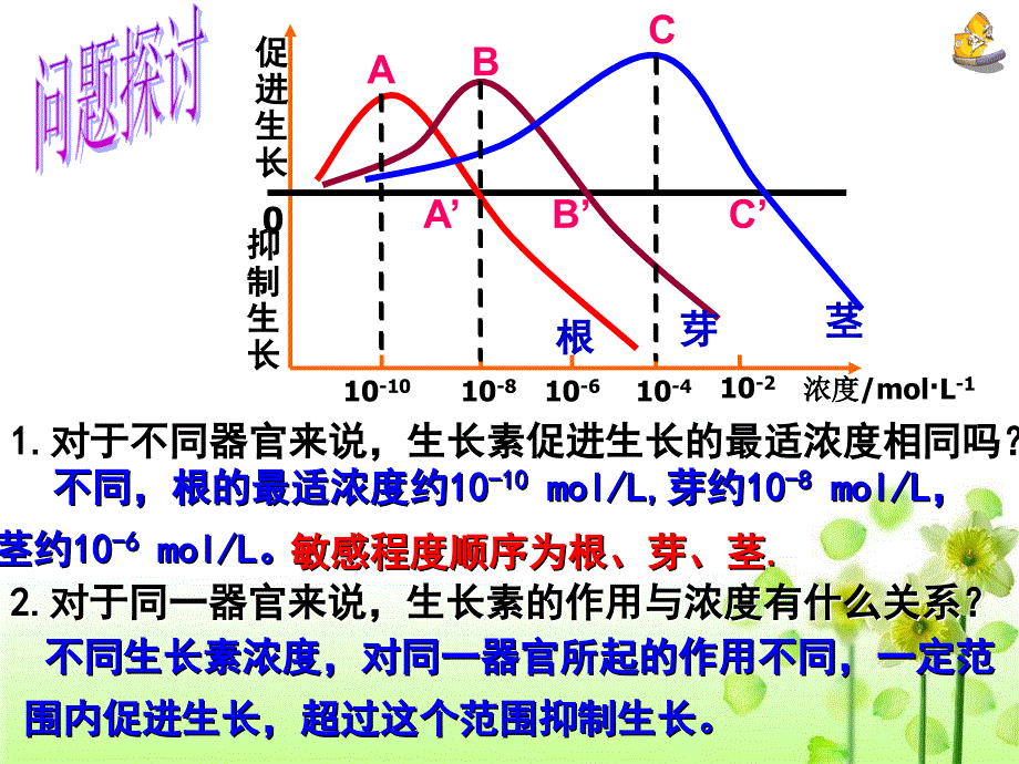 32生长素的生理作用(上课)_第2页