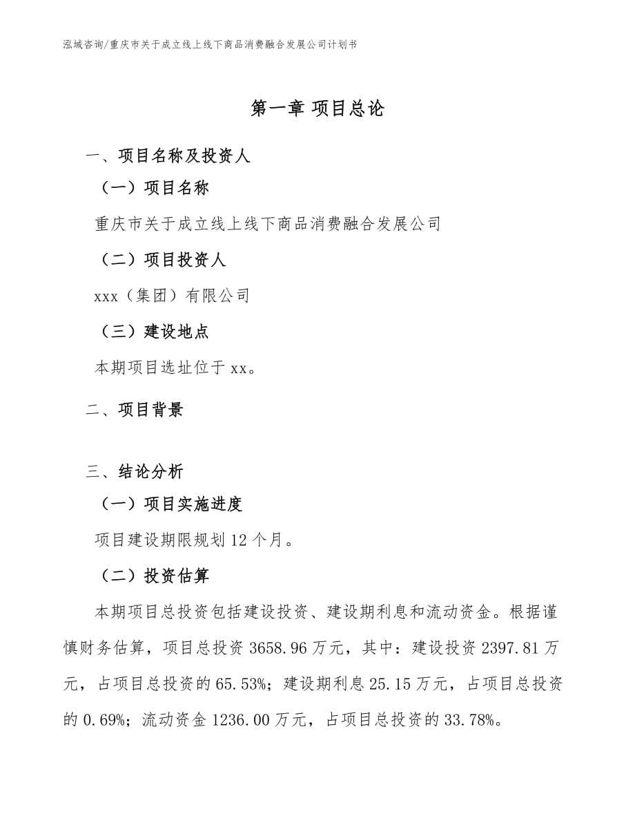 重庆市关于成立线上线下商品消费融合发展公司计划书_模板参考_第5页