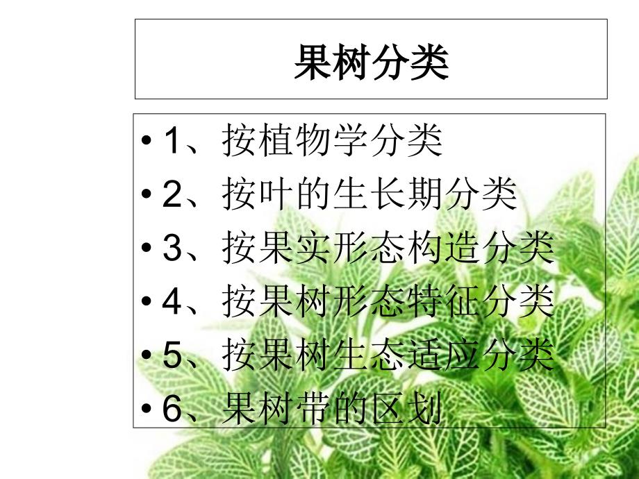 果树识别和分类描述_第4页