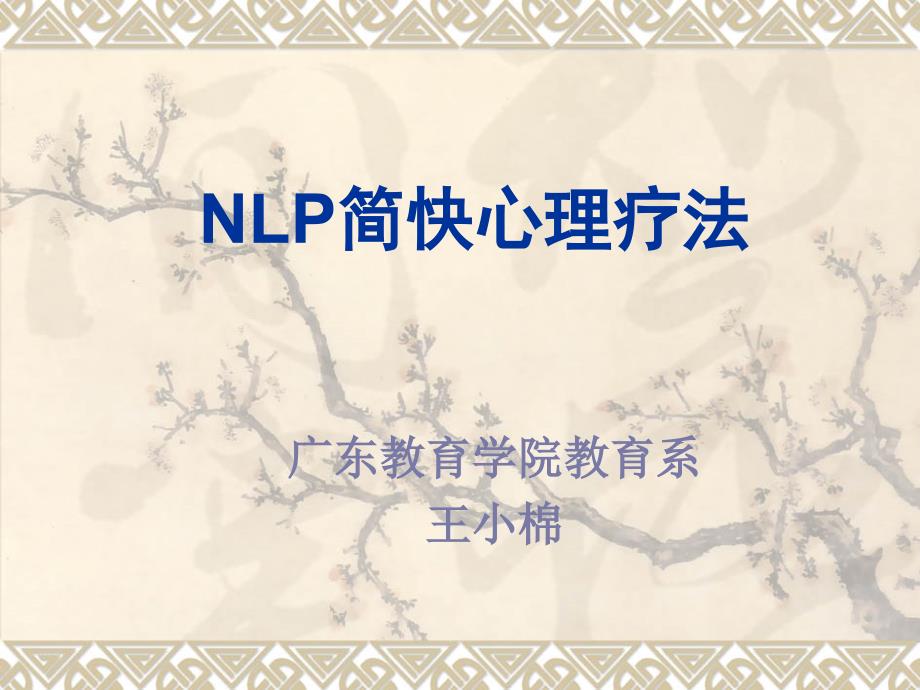 NLP简快心理疗法_第1页