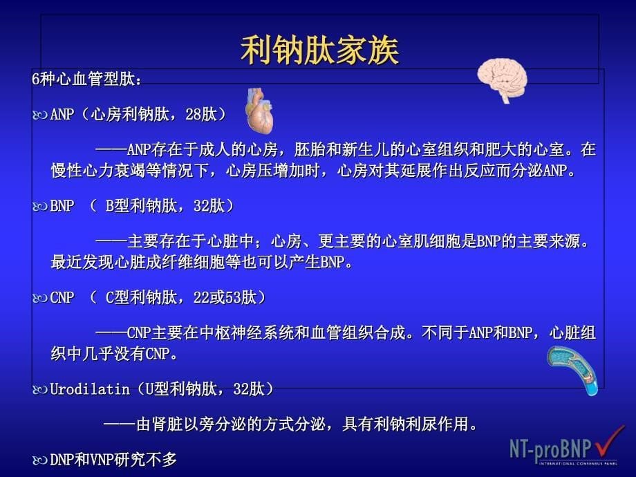 BNP在心衰诊治中的应用课件_第5页