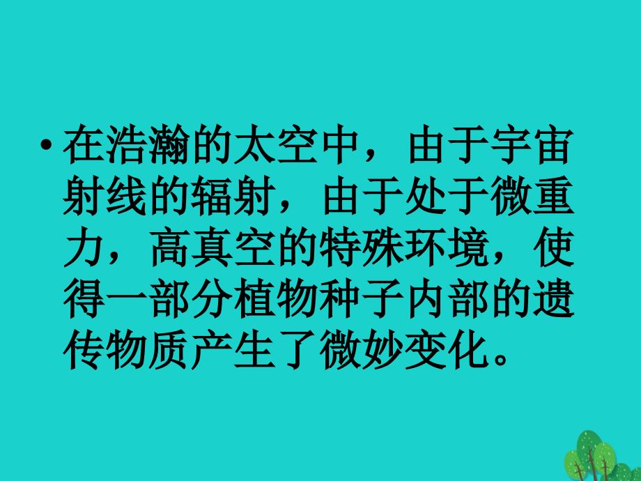 四年级语文上册 第8单元 32.飞船上的特殊乘客1 新人教版_第4页