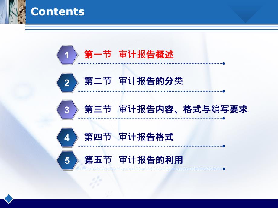 审计报告概述共48张课件_第3页