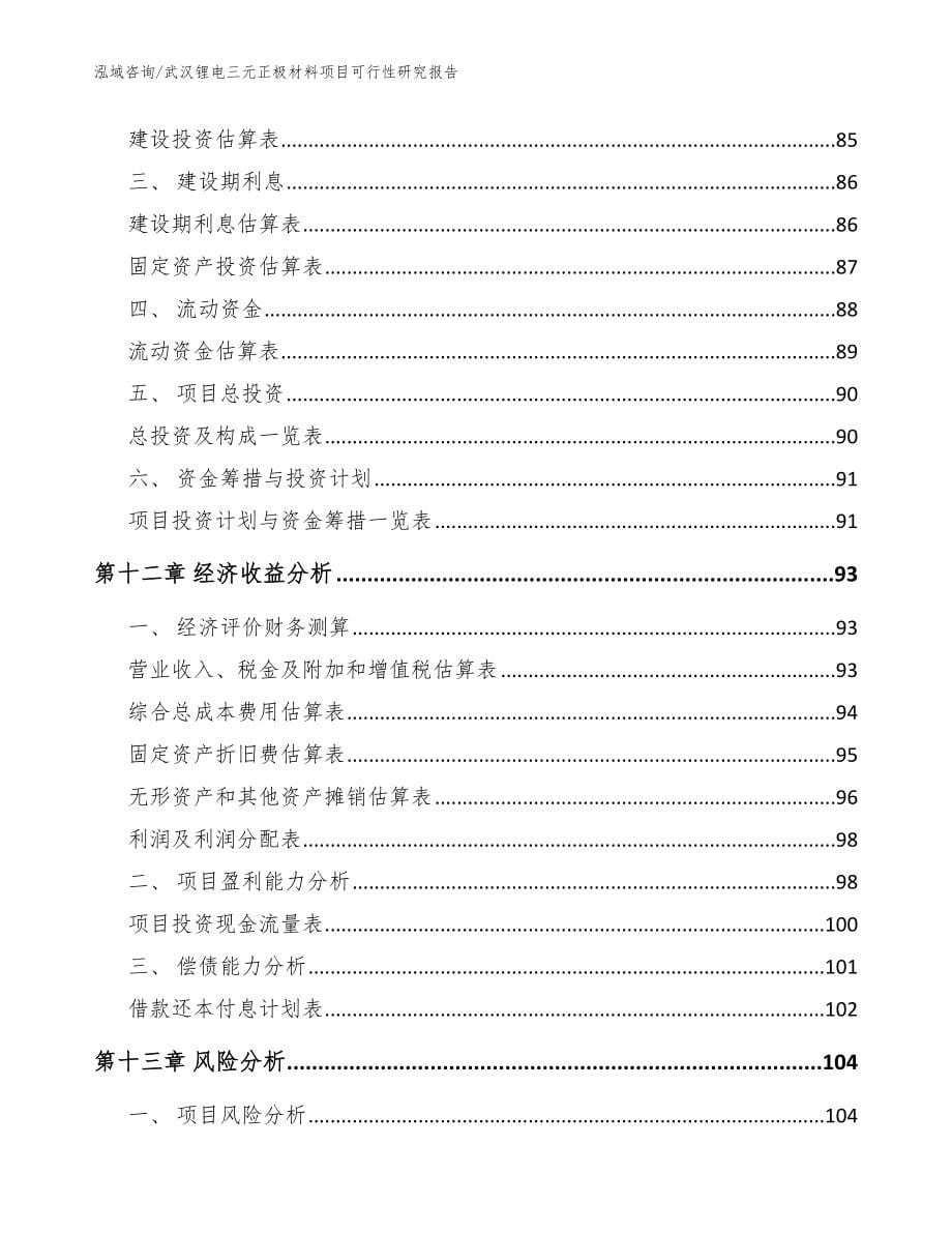 武汉锂电三元正极材料项目可行性研究报告_模板_第5页