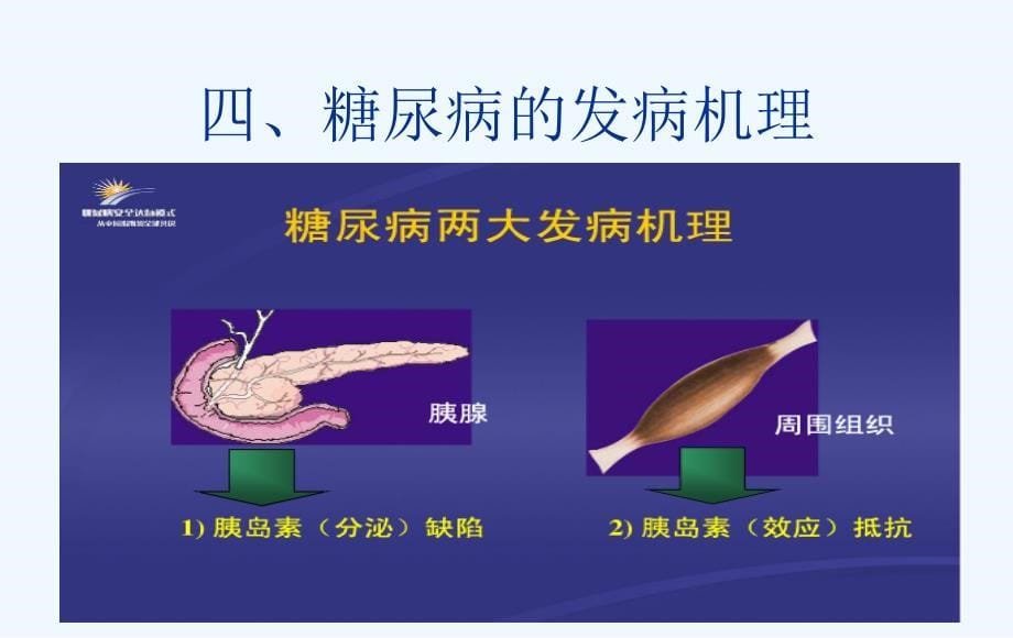 糖尿病健康教育PPT2_第5页