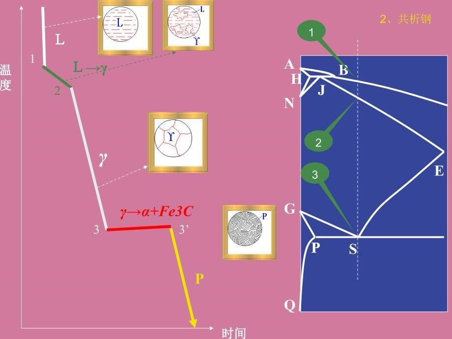 FeFe3C相图分析ppt课件_第5页