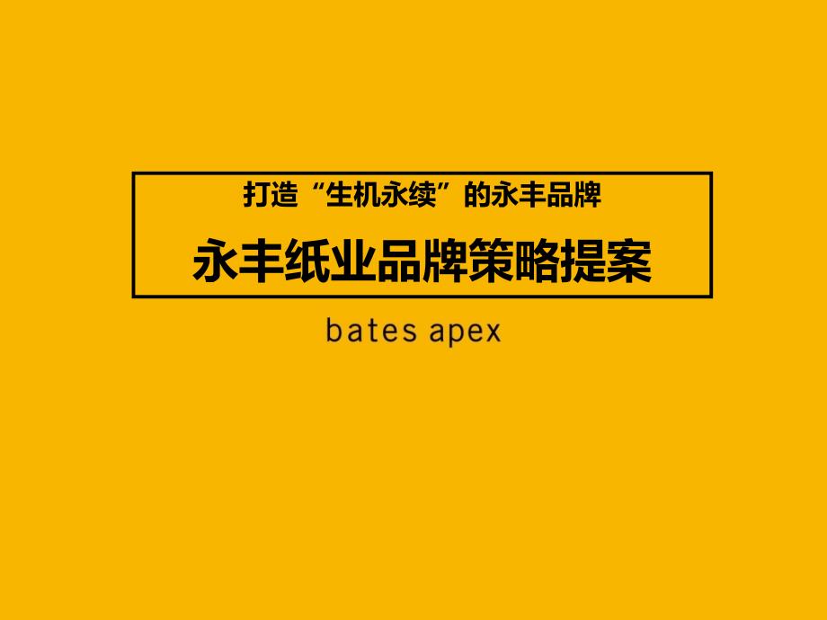 永丰纸业品牌发展策略提案_第1页