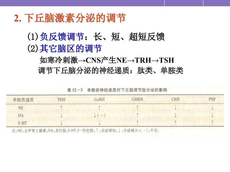 下丘脑与垂体的内分泌课件_第5页