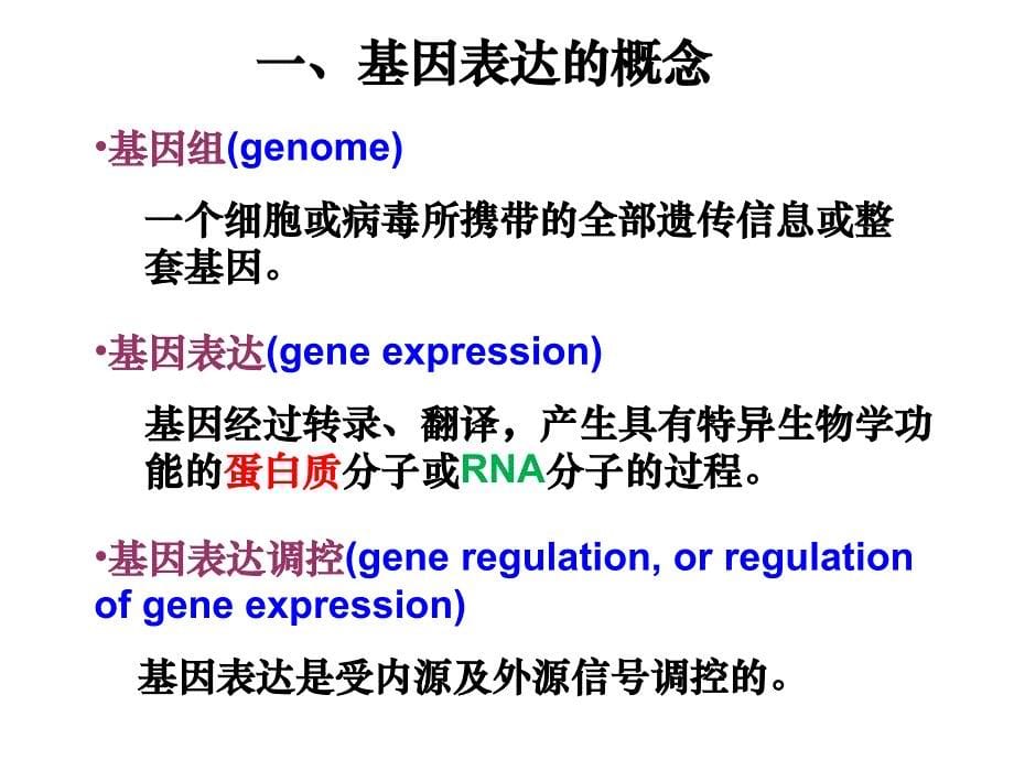 真核生物基因表达调控PPT_第5页