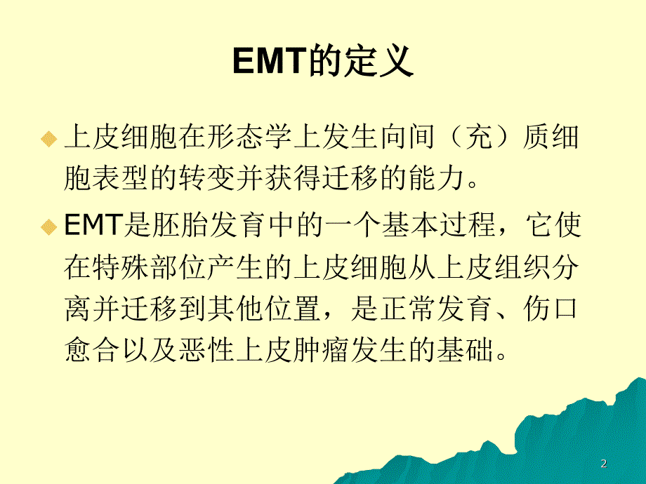 EMT上皮间质转化PPT幻灯片课件_第2页