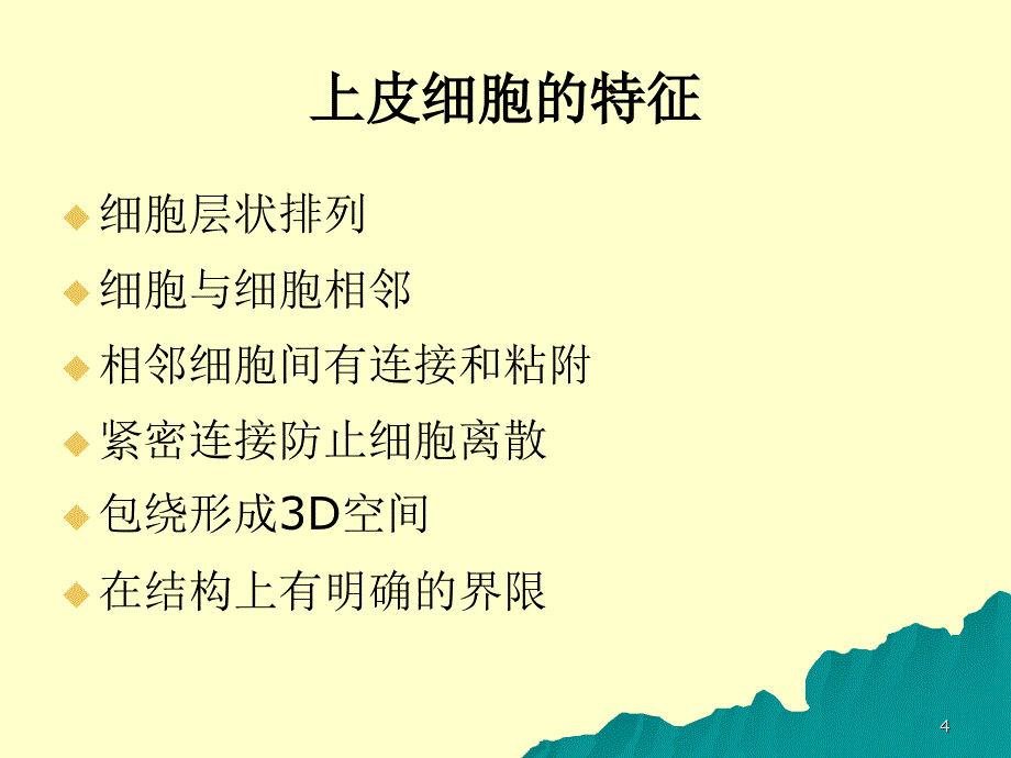 EMT上皮间质转化PPT幻灯片课件_第4页