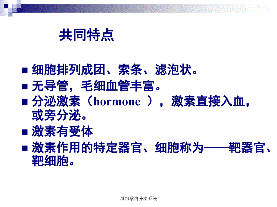 组织学内分泌系统课件_第3页