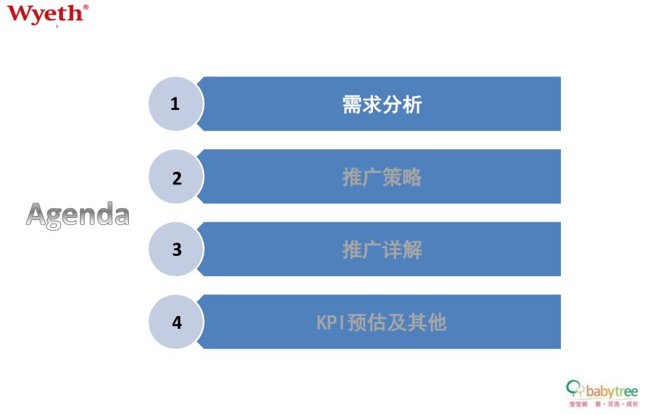 惠氏婴儿护理产品推广策划方案_第3页