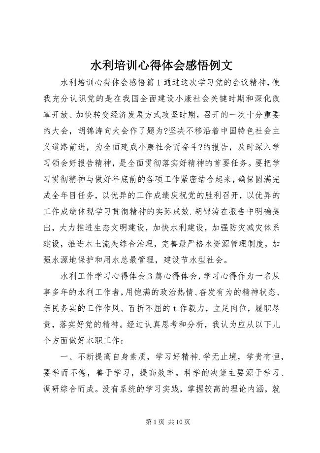 2023年水利培训心得体会感悟例文.docx