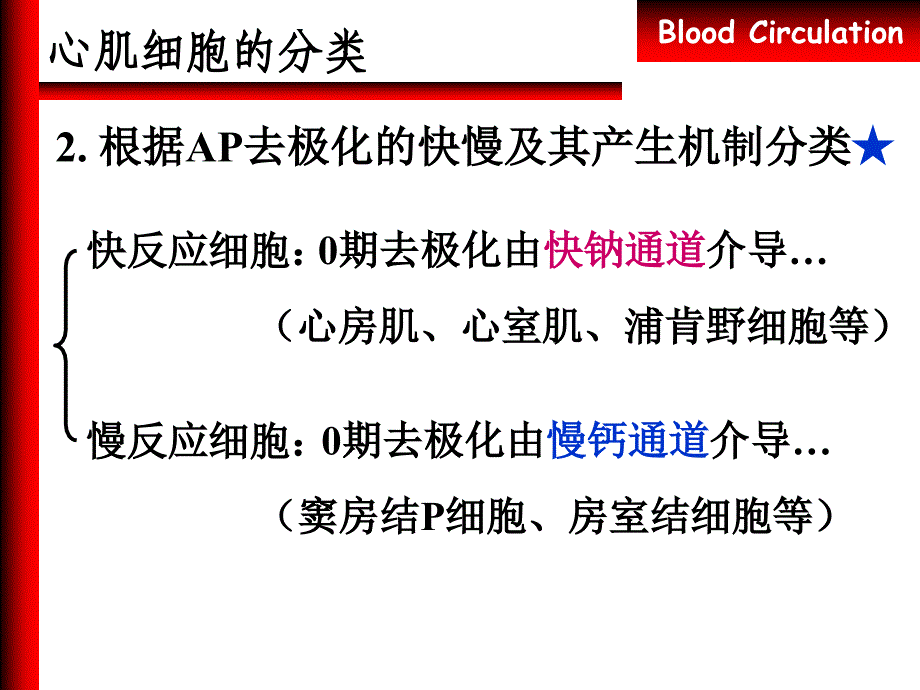 生理学：心脏的电生理学及生理特性_第3页