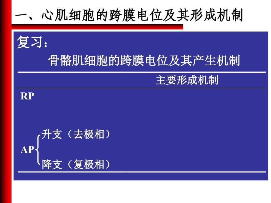 生理学：心脏的电生理学及生理特性_第5页