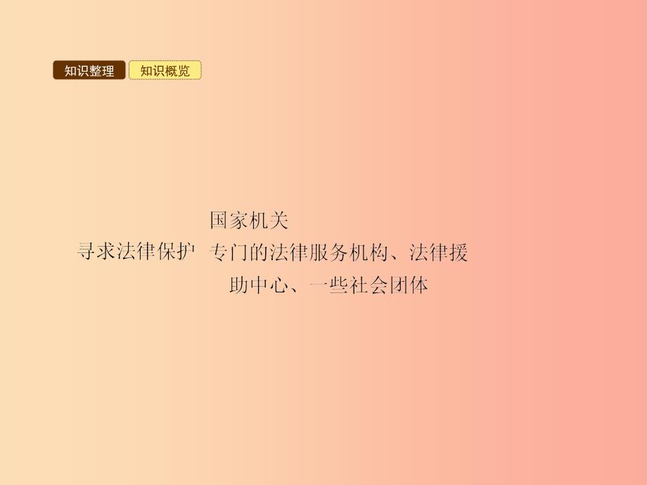 八年级政治下册 第三单元 感受法律的权威 第九课 寻求法律帮助 第2站 寻求法律保护课件 北师大版.ppt_第3页