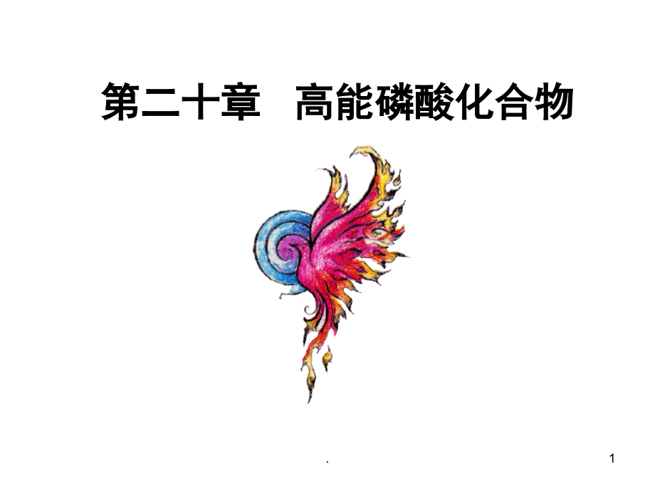 高能磷酸化合物课堂PPT_第1页