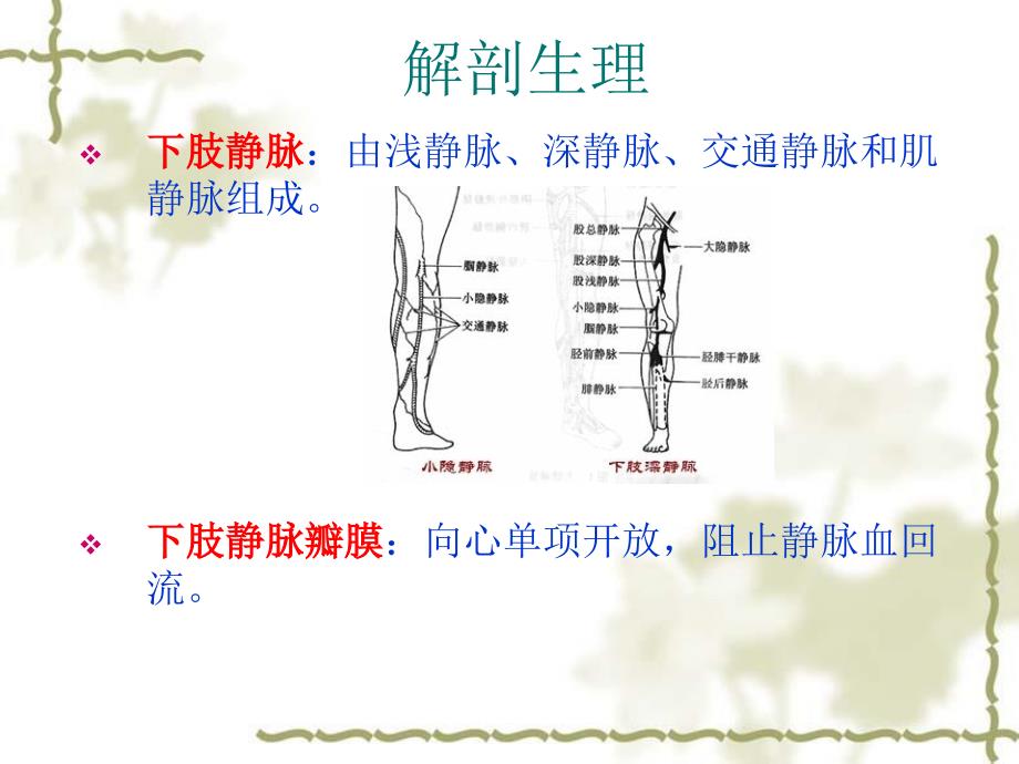 原发性下肢静脉曲张的诊断和治疗_第3页