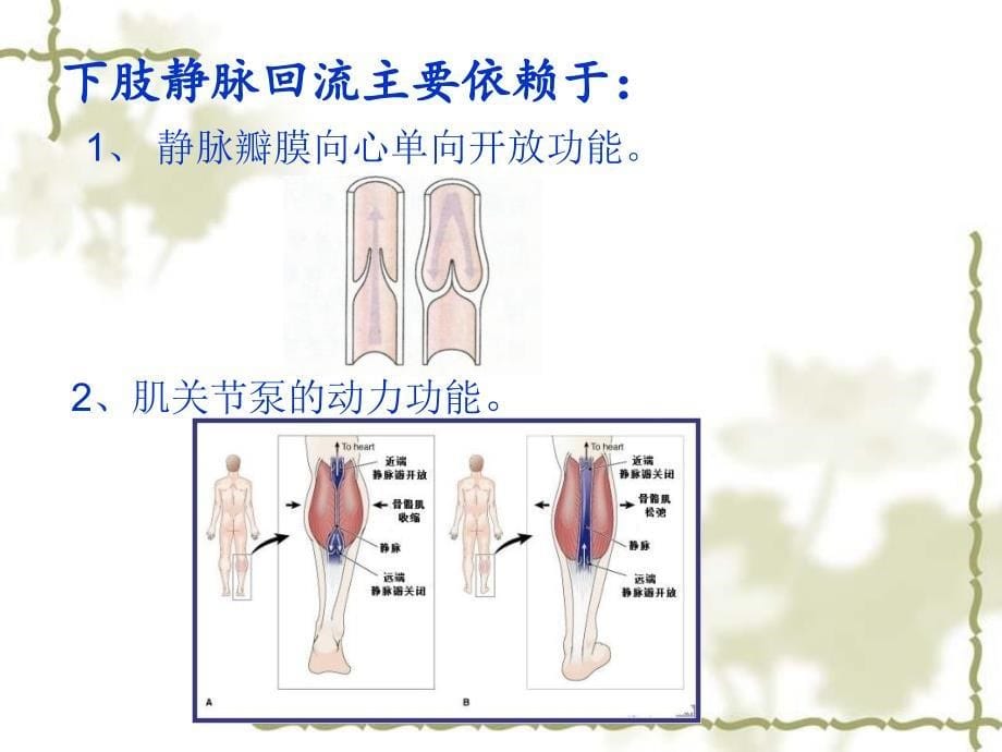 原发性下肢静脉曲张的诊断和治疗_第5页