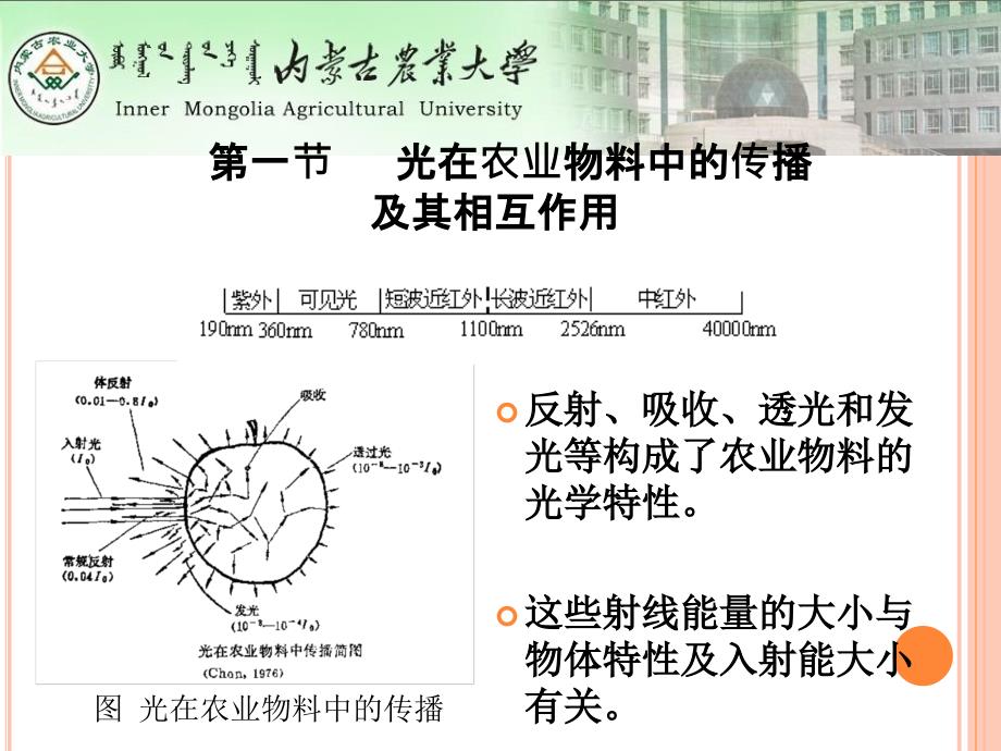 农业物料的光学特性_第2页