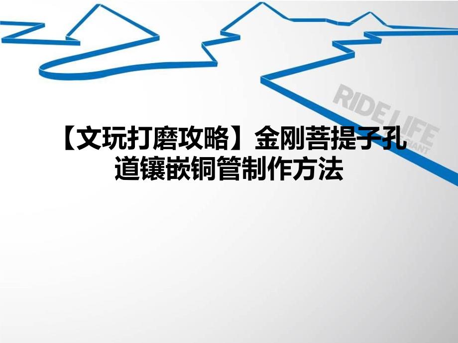 文玩打磨攻略金刚菩提子孔道镶嵌铜管制作方法_第1页