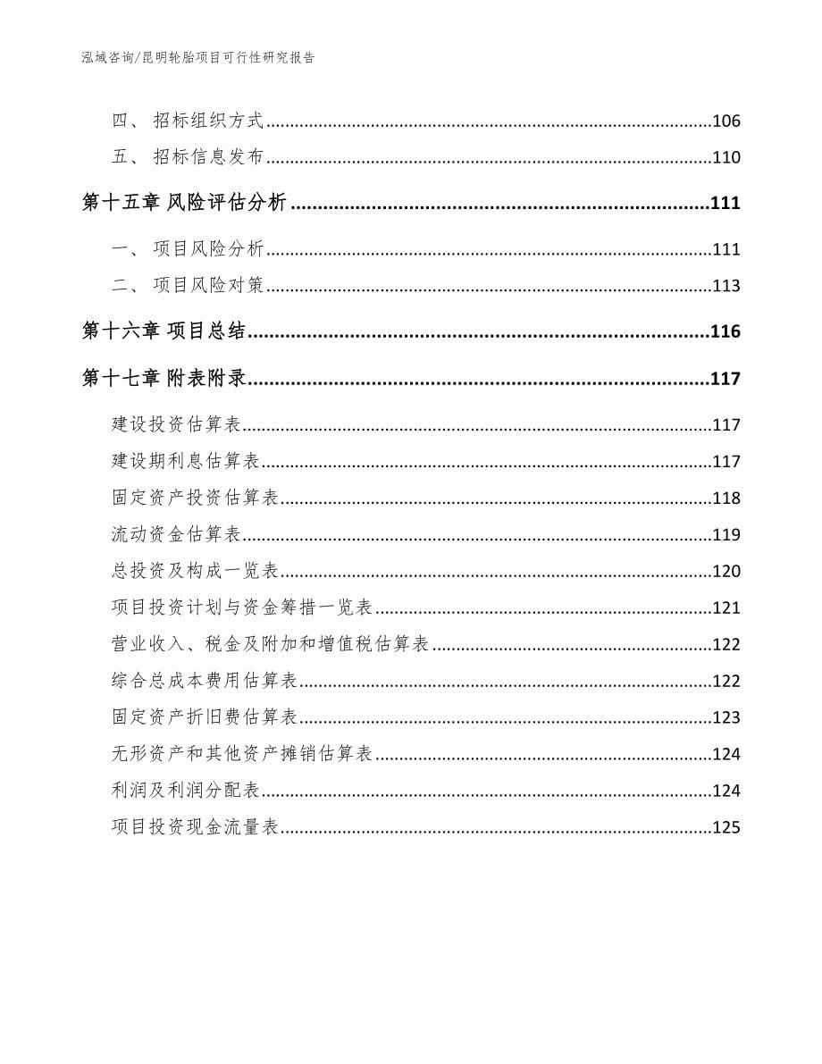 昆明轮胎项目可行性研究报告_第5页