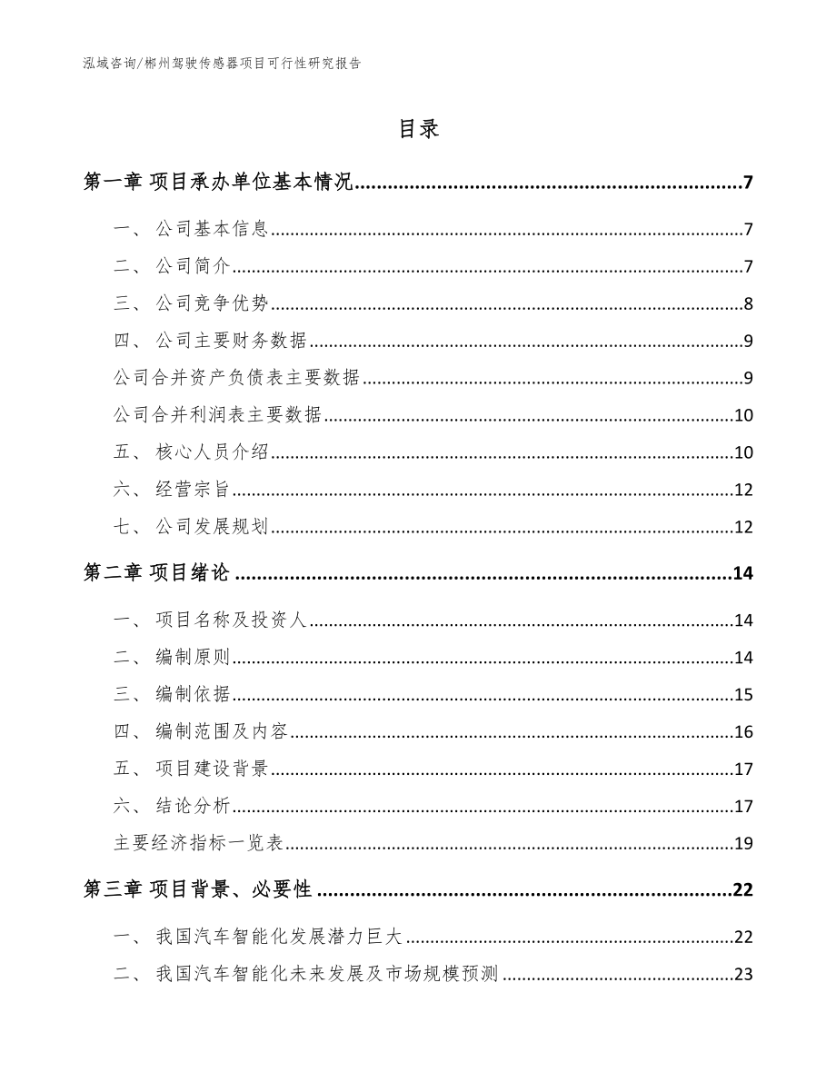 郴州驾驶传感器项目可行性研究报告（范文模板）_第1页