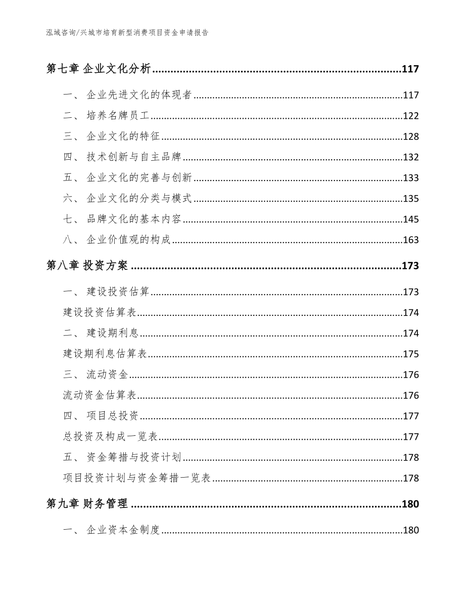 兴城市培育新型消费项目资金申请报告范文模板_第3页