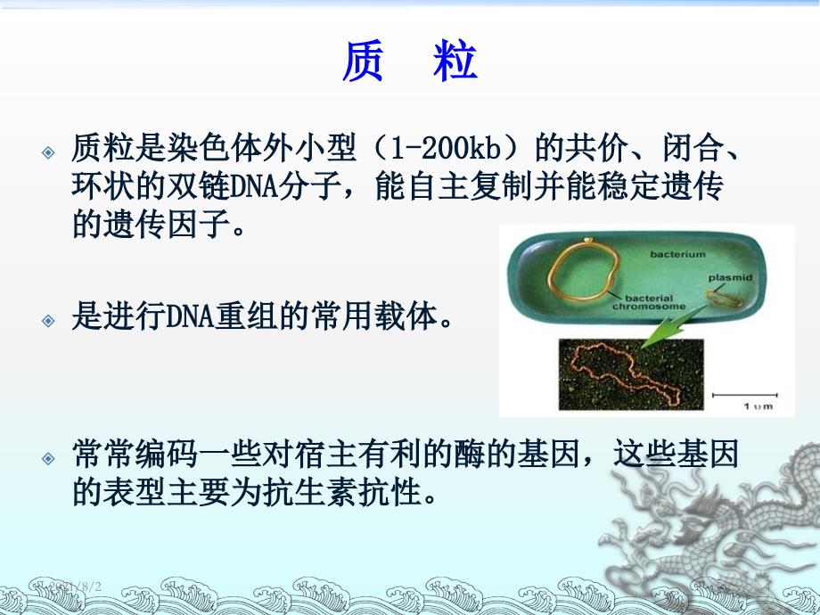 117质粒提取和限制性内切酶消化_第4页