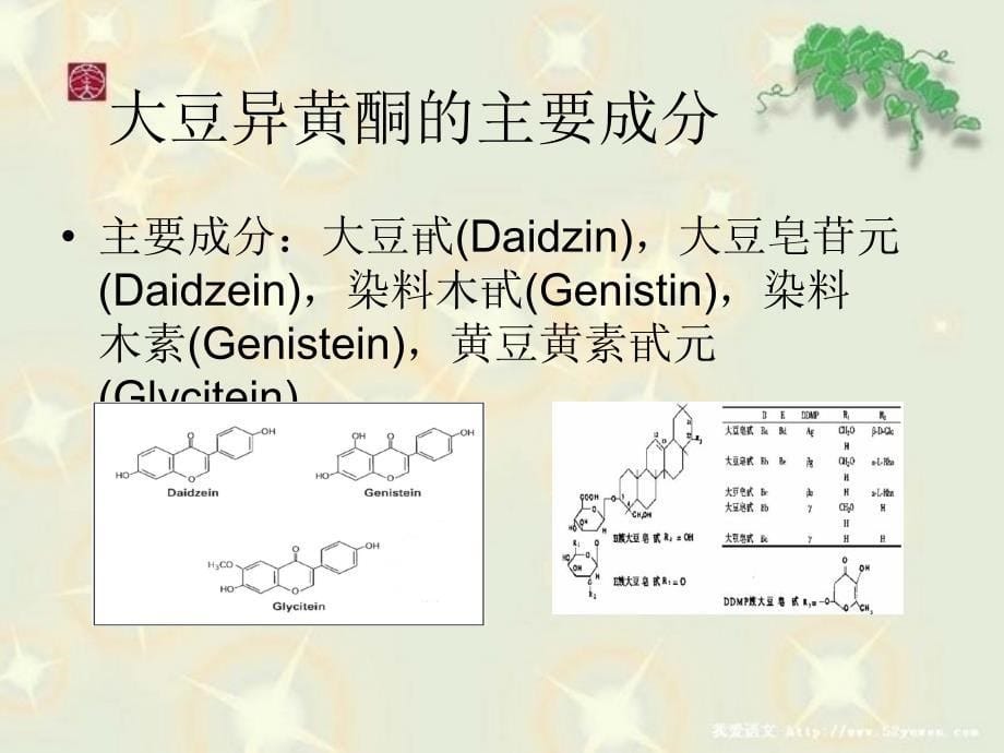 功能性食品作业ppt课件_第5页