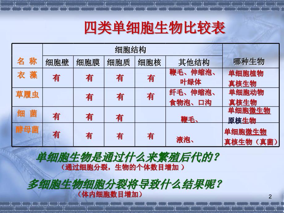 动物组织与植物组织PPT优秀课件_第2页