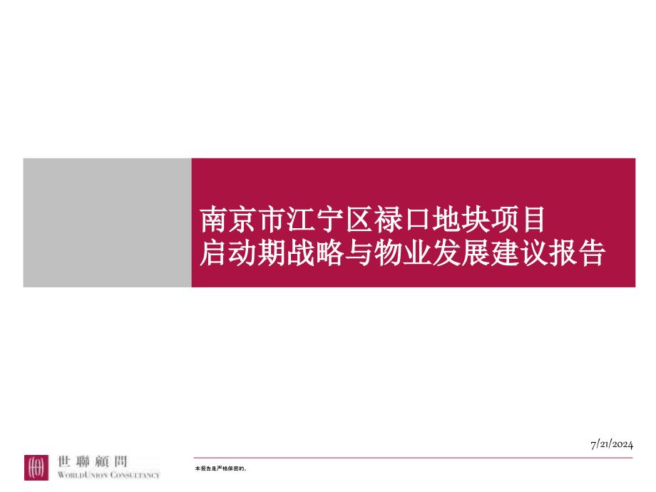 经典南京市江宁区禄口地块项目启动期战略与物业发展建议报告_第1页