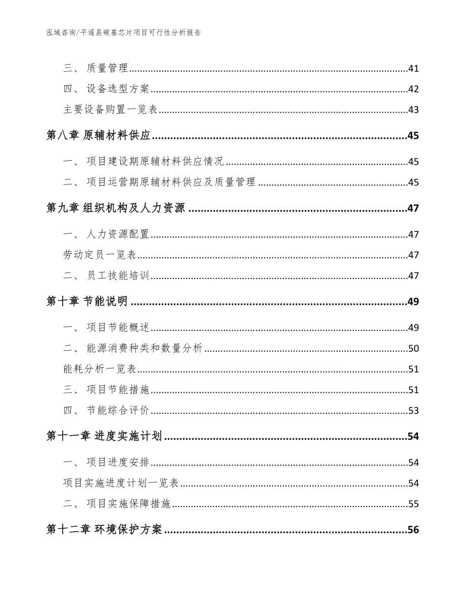 平遥县碳基芯片项目可行性分析报告（参考范文）_第5页