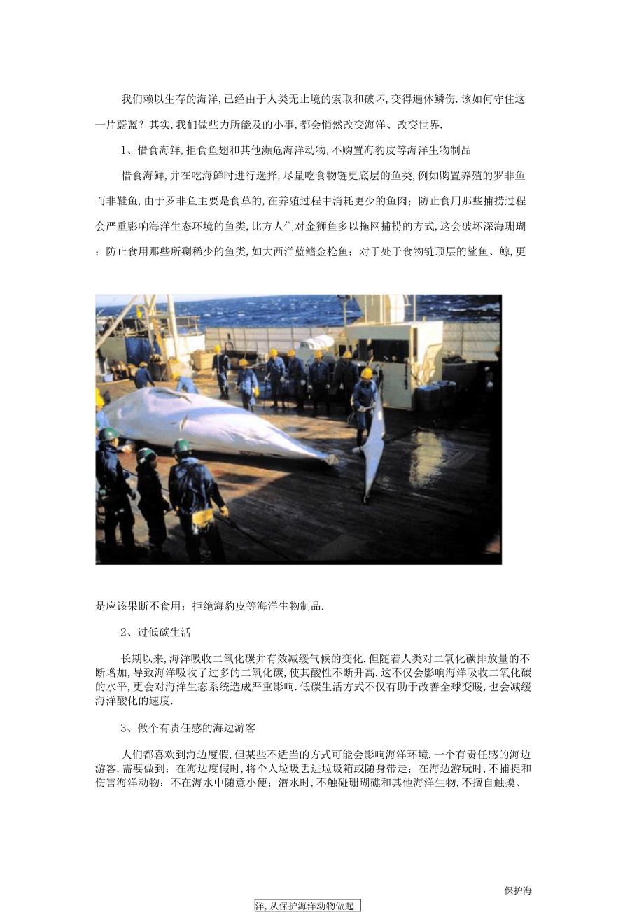 海洋保护小知识_第1页