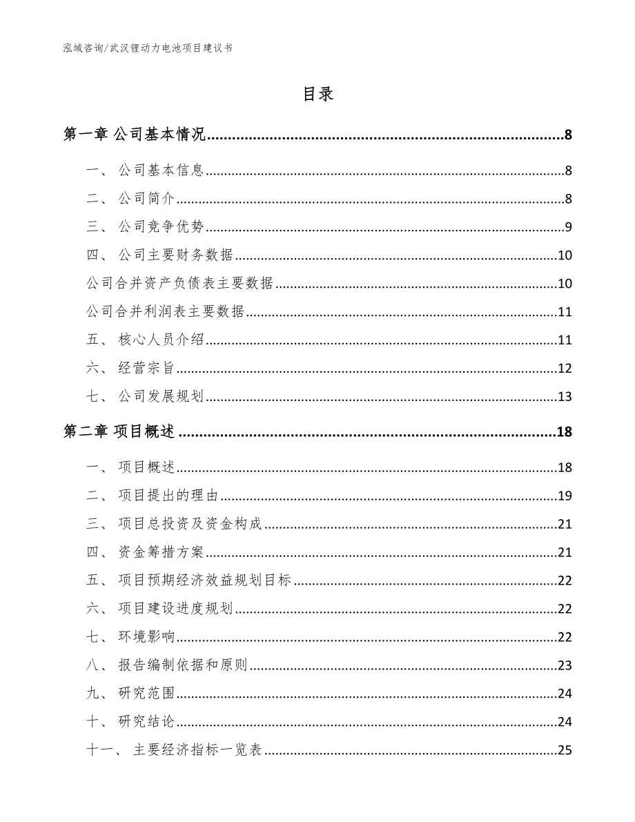 武汉锂动力电池项目建议书（模板参考）_第2页