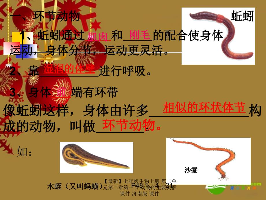 最新七年级生物上册第二单元第二章第一节动物的主要类群课件济南版课件_第3页