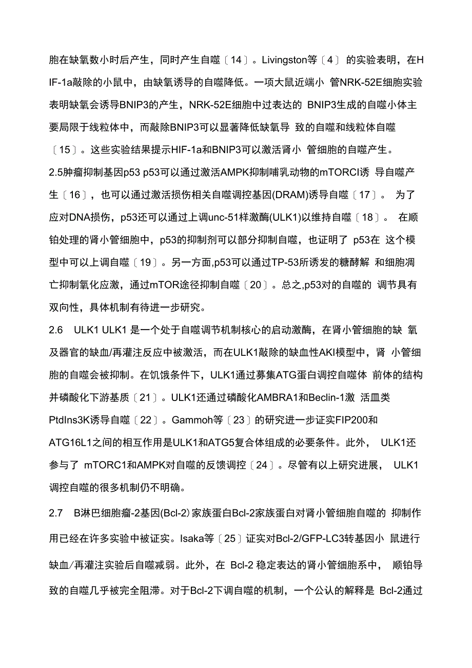 急性肾损伤中的自噬_第4页