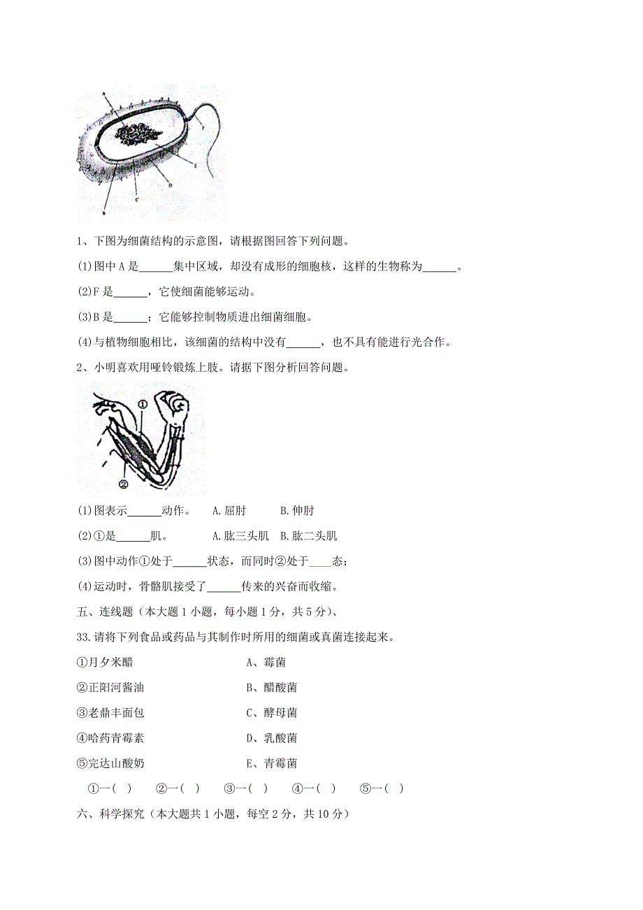 黑龙江省尚志市八年级生物上学期期末考试试题新人教版_第4页