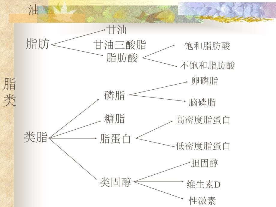 心脑血管可用图片ppt课件_第5页