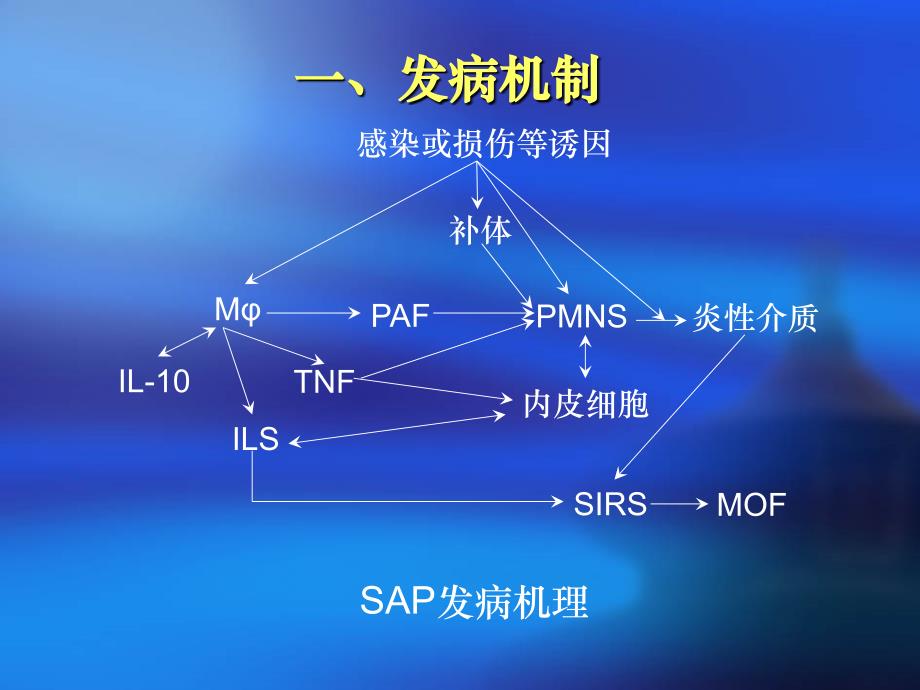 重症急性胰腺炎课件_第2页