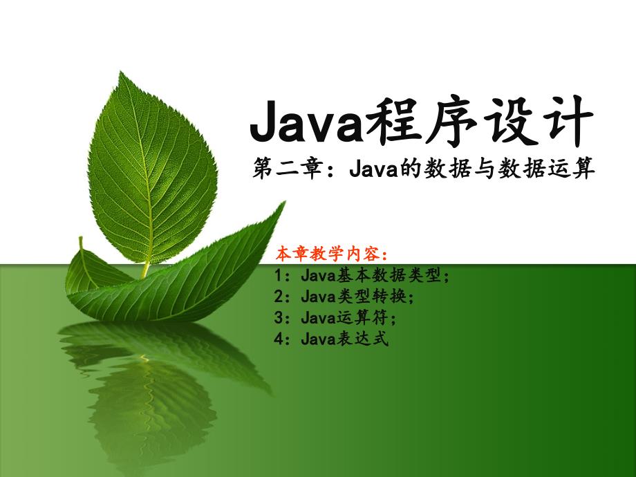 第二章：Java数据与数据运算_第1页