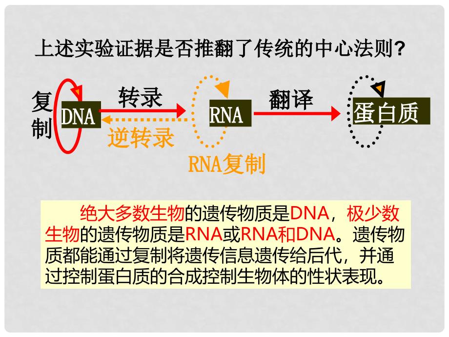 福建省寿宁县高中生物 第四章 基因的表达 4.2 基因对性状的控制课件 新人教版必修2_第4页