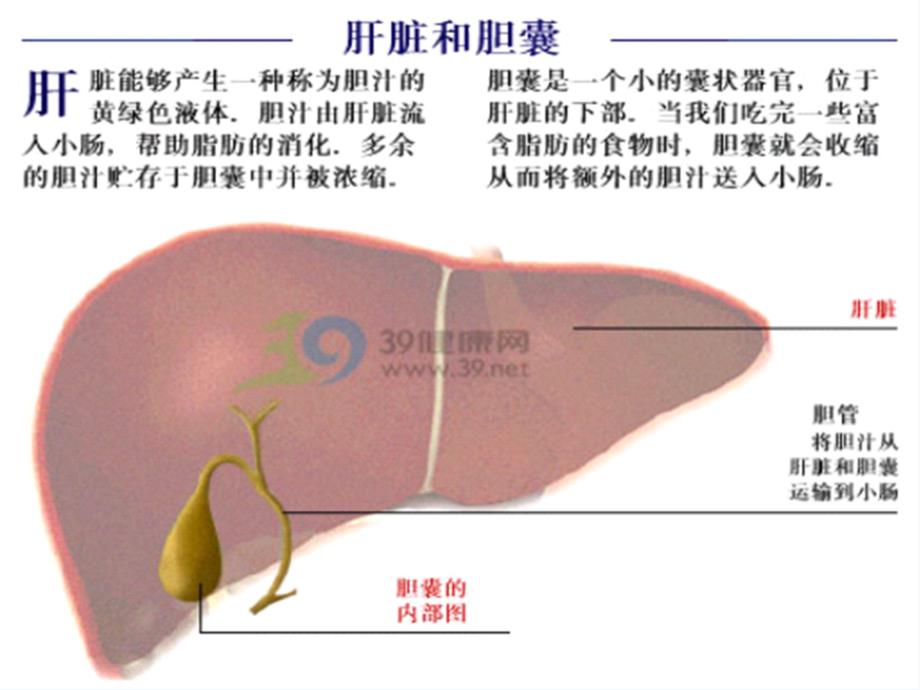 胆囊切除手术配合课件_第4页